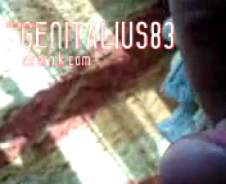 genitalius83