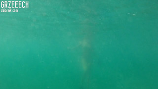 Crounderwater17