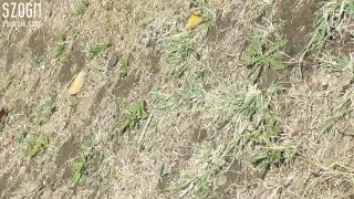 20180827_135021.mp4