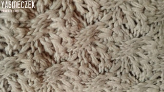 VID_20190430_205415.mp4