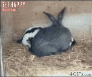 gethappy