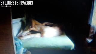 V_20190729_224836.mp4