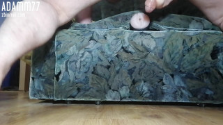 VID_20191230_233049.mp4