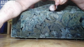 VID_20191230_233049.mp4