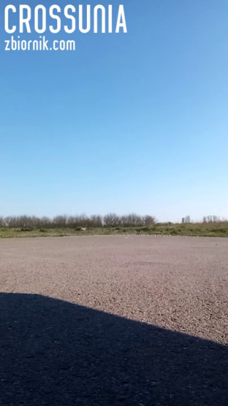 VID_20200421_172804.3gp