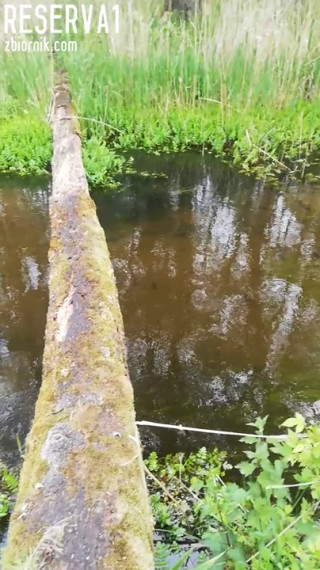 VID_20200522_103403.mp4