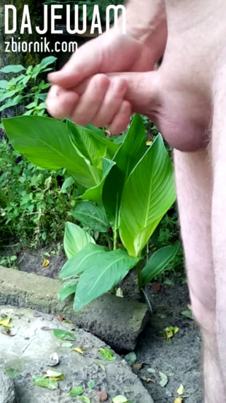 VID_20200624_175926.mp4