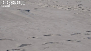 00037.AVI
