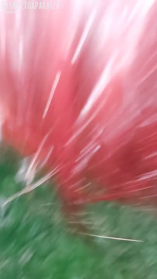 20200815_231334.mp4