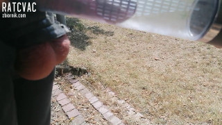 VID_20200820_134311.mp4