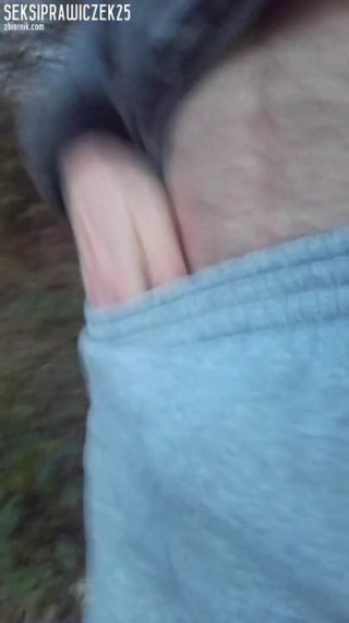 VID_20201124_154746.mp4