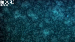 hmcouple