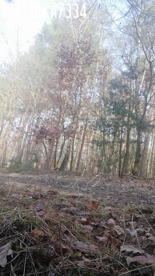 VID_20210225_134218.mp4