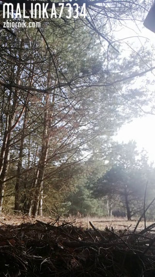 VID_20210225_141032.mp4