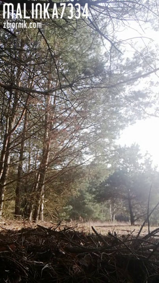 VID_20210225_141032.mp4