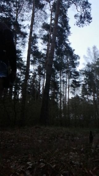 VID_20210504_204439.mp4