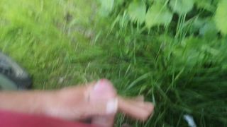 Krakus_84_