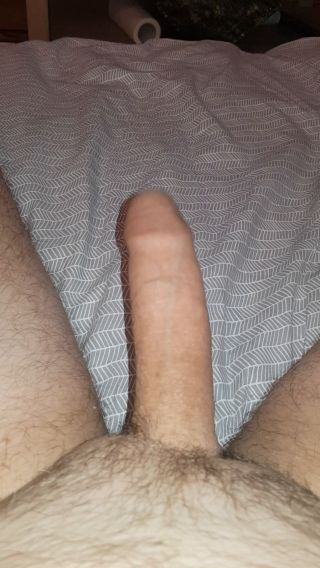 januswodnikus