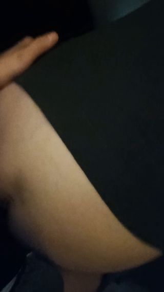 CichaPara9293