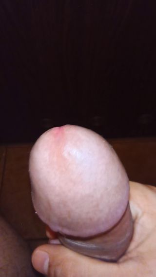 kutasior1987_2