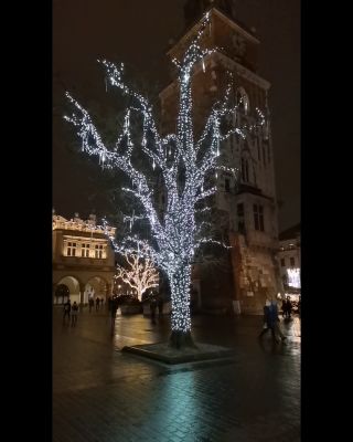 Krk