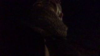 wideo 1.mp4
