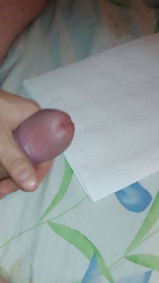 wlodo8
