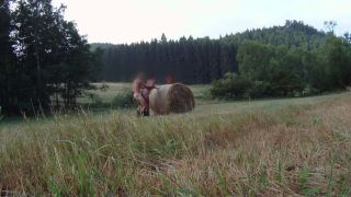 leniwiec435