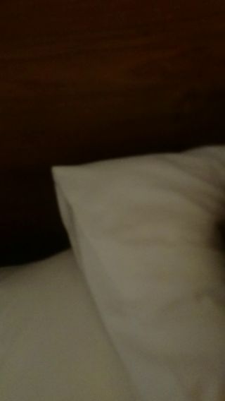 MOV_0001.mp4