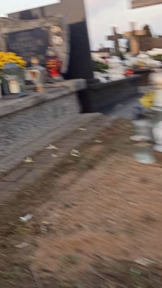 lv_0_20230306051239.mp4
