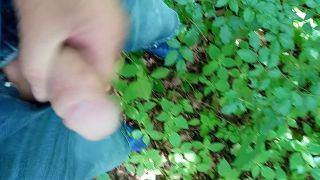 zybi44
