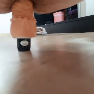 Pawciu73