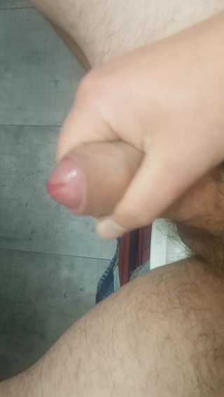 Twojbull