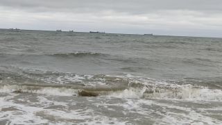 VID_20240127_120220.mp4