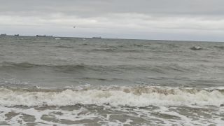 VID_20240127_120220.mp4
