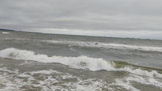 VID_20240127_115828.mp4