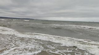 VID_20240127_115828.mp4
