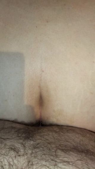 Seksi2