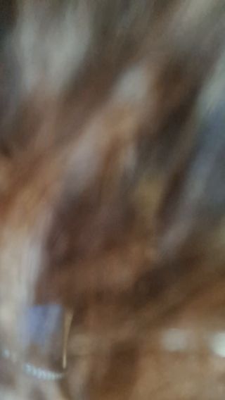 1000010827.mp4