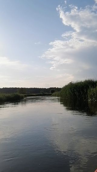 VID_20240530_183253.mp4