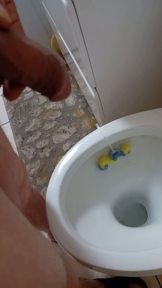 1000003305.mp4