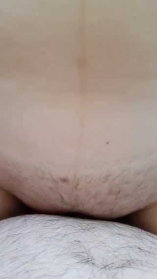Para8286AM