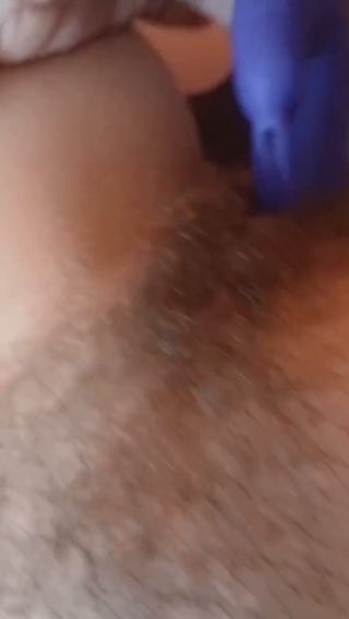 20241103_081937-1.mp4