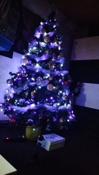 VID20241223171338.mp4
