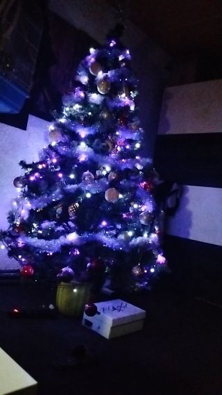 VID20241223171338.mp4