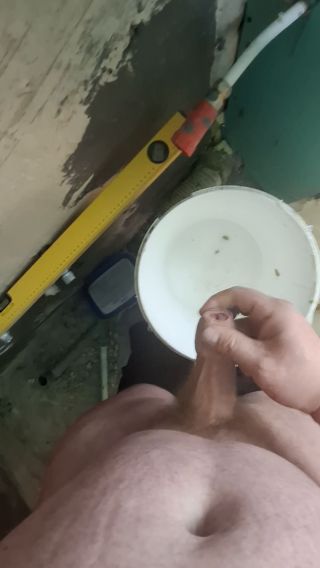 Onjesttwardy22