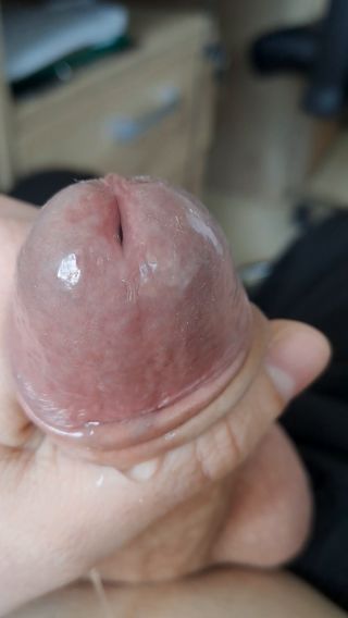 BrunecikBi