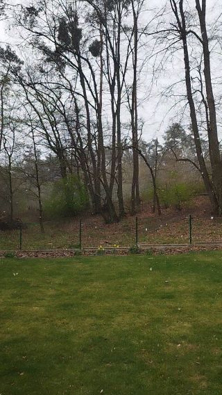 VID_20250407_081417.mp4