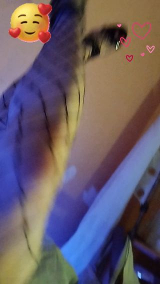 1000003286.mp4