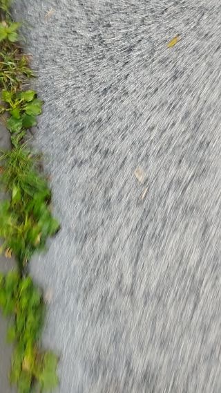 VID_20250803_092742.mp4